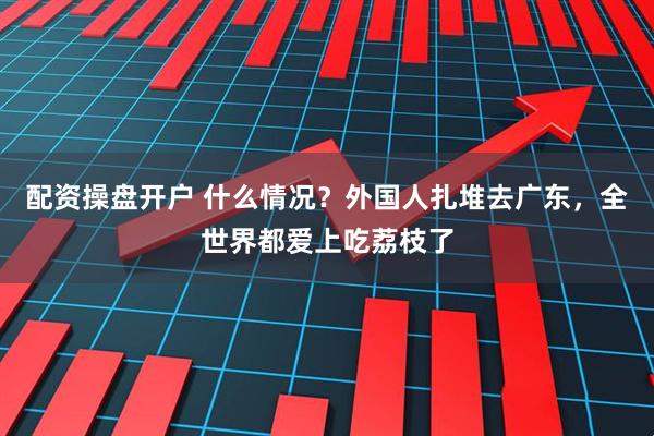 配资操盘开户 什么情况？外国人扎堆去广东，全世界都爱上吃荔枝了